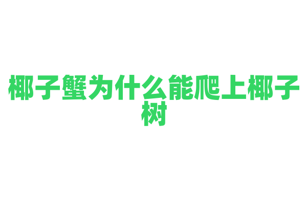 椰子蟹为什么能爬上椰子树，它的攀爬能力和身体结构有什么关系？