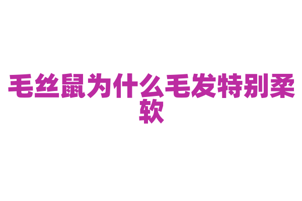 毛丝鼠为什么毛发特别柔软，它的毛发结构和保暖机制是怎样的？