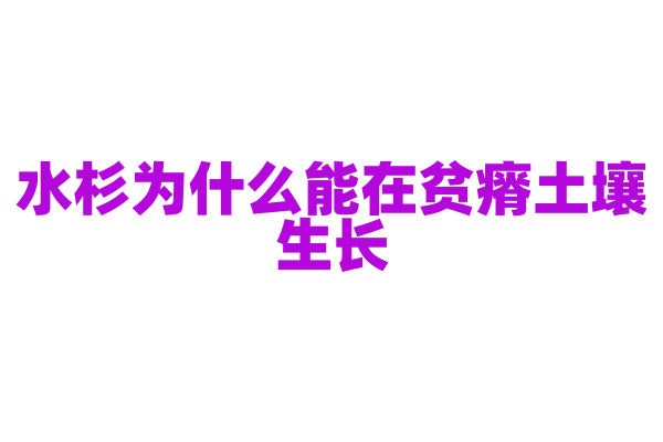 水杉为什么能在贫瘠土壤生长，它的根系吸收和养分利用机制是什么？