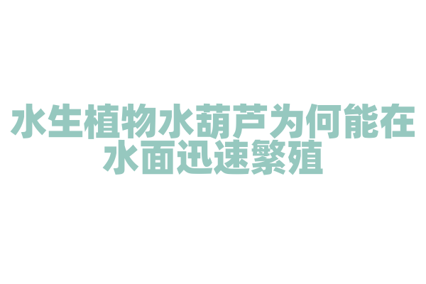 水生植物水葫芦为何能在水面迅速繁殖？