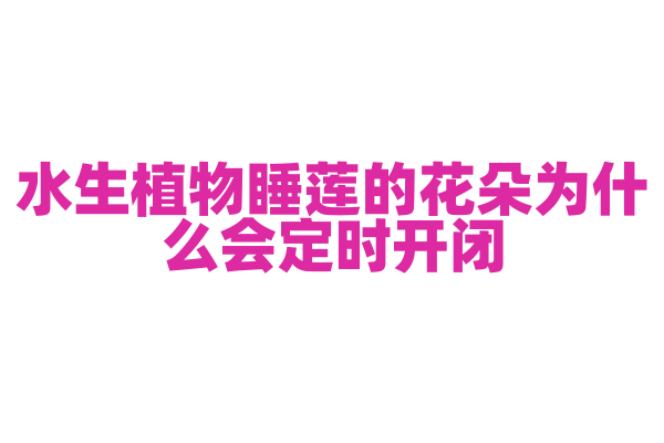水生植物睡莲的花朵为什么会定时开闭？