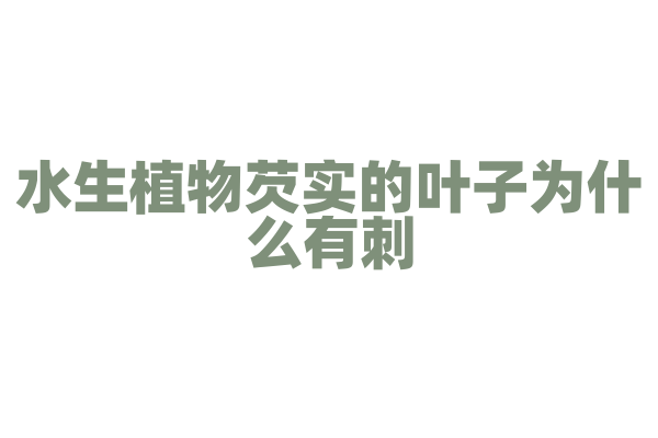 水生植物芡实的叶子为什么有刺？