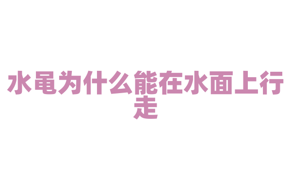 水黾为什么能在水面上行走，它的腿部结构和水面张力有什么关系？