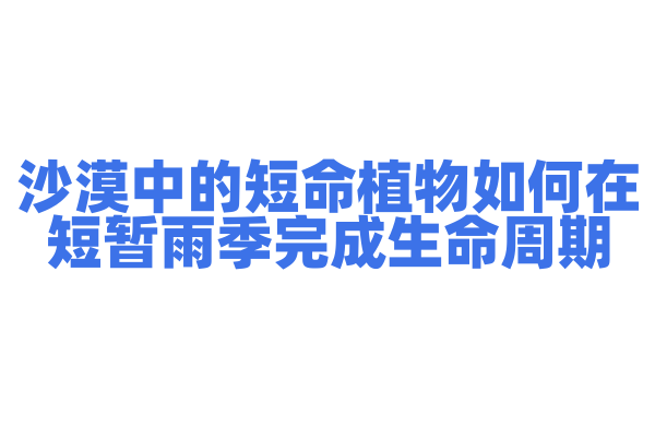 沙漠中的短命植物如何在短暂雨季完成生命周期？