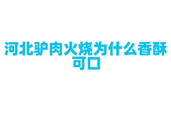 河北驴肉火烧为什么香酥可口，驴肉的炖煮和火烧的制作有什么技巧？