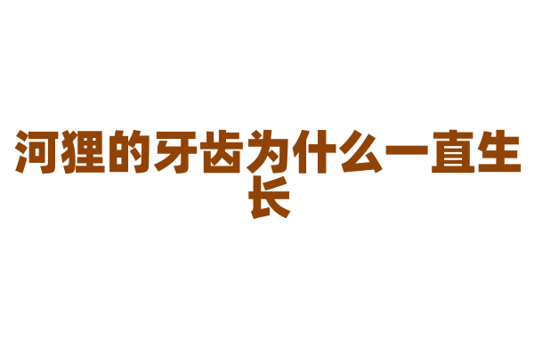 河狸的牙齿为什么一直生长？