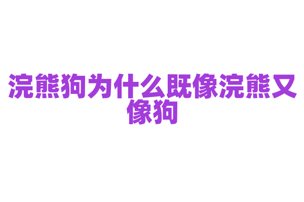 浣熊狗为什么既像浣熊又像狗，它的进化起源有什么特别之处？