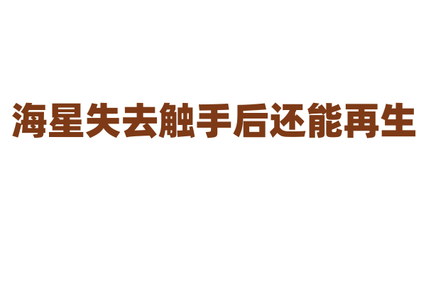 海星失去触手后还能再生，这是怎么做到的？