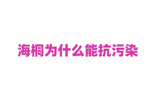 海桐为什么能抗污染，它的叶片结构和生理特性与抗污染有什么关系？