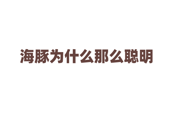 海豚为什么那么聪明，它的大脑构造有什么特别之处？