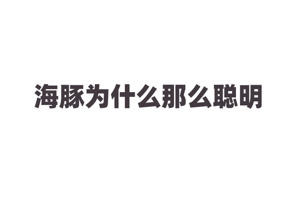 海豚为什么那么聪明，它的大脑结构有什么特别？