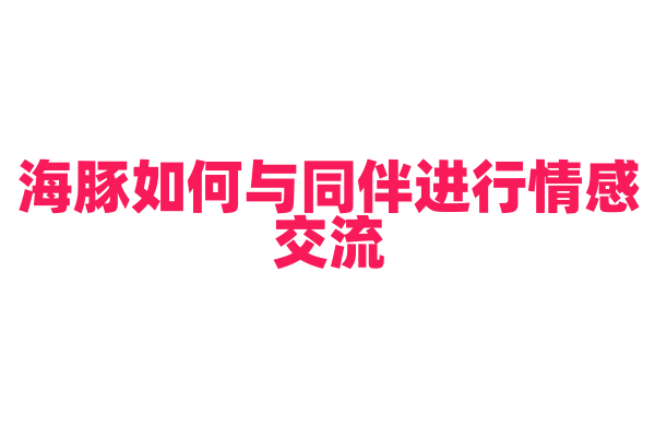海豚如何与同伴进行情感交流？