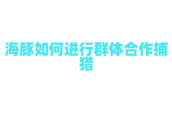 海豚如何进行群体合作捕猎？