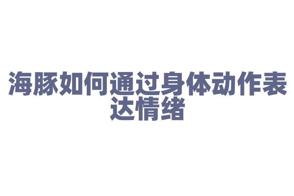 海豚如何通过身体动作表达情绪？