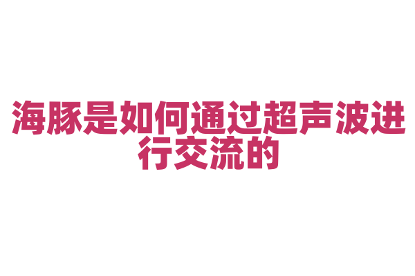 海豚是如何通过超声波进行交流的