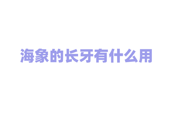 海象的长牙有什么用？