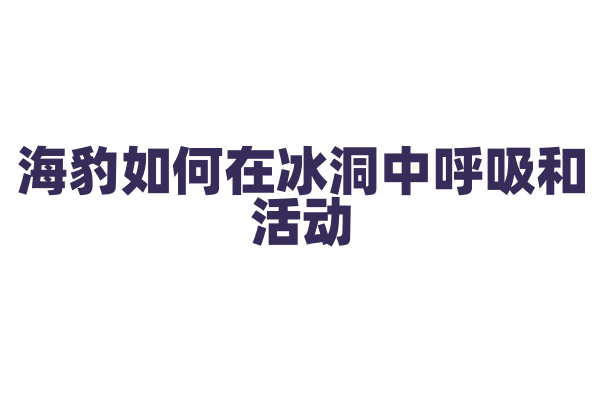 海豹如何在冰洞中呼吸和活动？