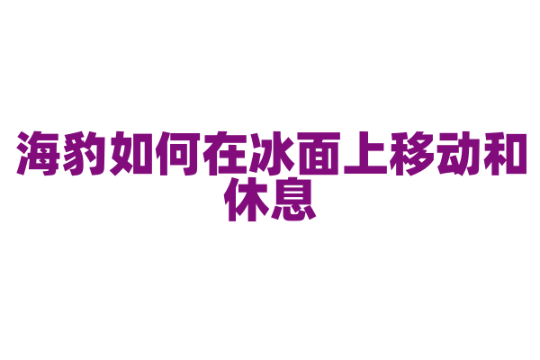 海豹如何在冰面上移动和休息？