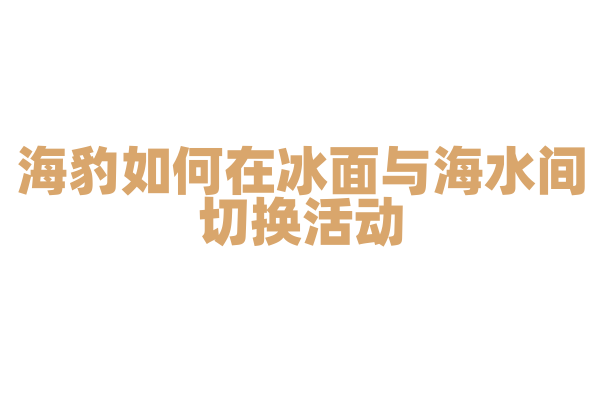 海豹如何在冰面与海水间切换活动？