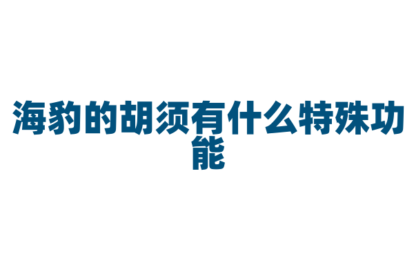 海豹的胡须有什么特殊功能？