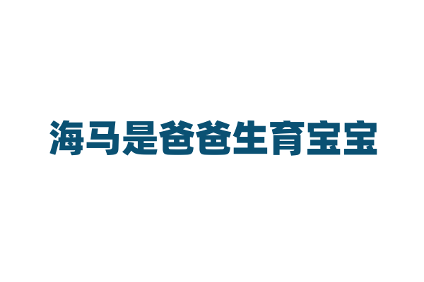 海马是爸爸生育宝宝，这是怎么回事？