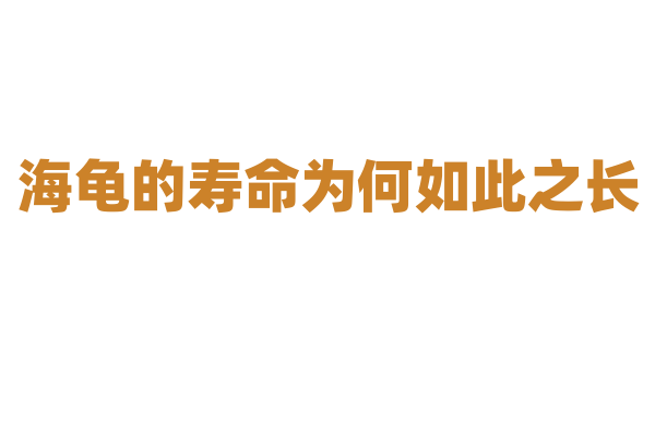 海龟的寿命为何如此之长？
