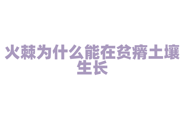 火棘为什么能在贫瘠土壤生长，它的根系有什么特点？