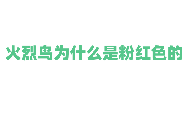火烈鸟为什么是粉红色的，它的羽毛颜色和食物有什么关系？