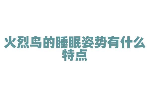 火烈鸟的睡眠姿势有什么特点？