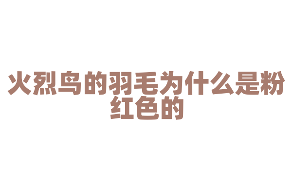 火烈鸟的羽毛为什么是粉红色的