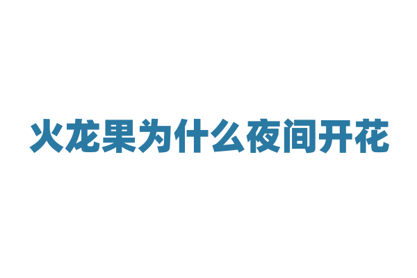 火龙果为什么夜间开花，这种开花习性对其繁殖有何影响？