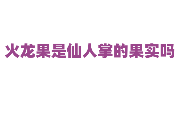 火龙果是仙人掌的果实吗，它的生长环境有什么要求？