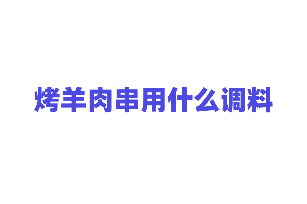 烤羊肉串用什么调料？