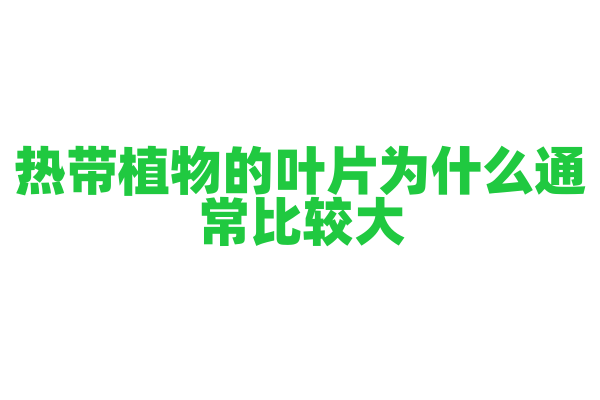 热带植物的叶片为什么通常比较大？