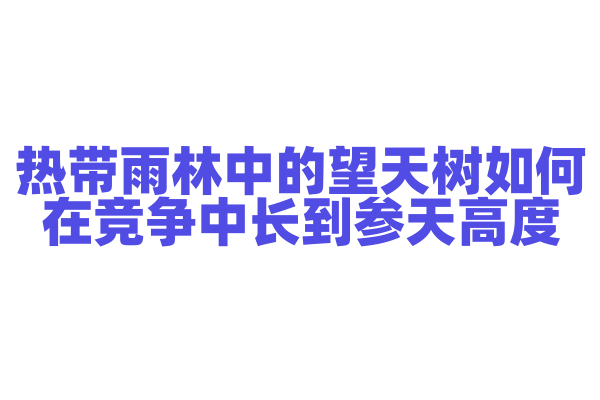 热带雨林中的望天树如何在竞争中长到参天高度？