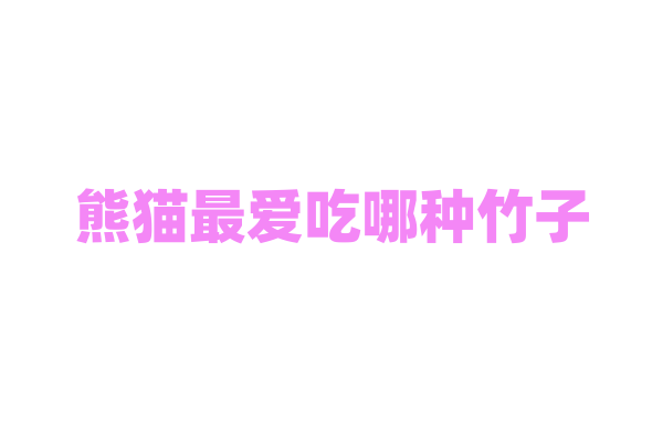 熊猫最爱吃哪种竹子？
