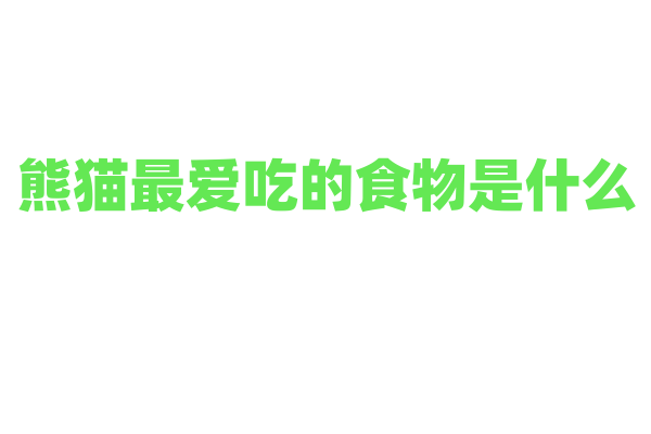 熊猫最爱吃的食物是什么？