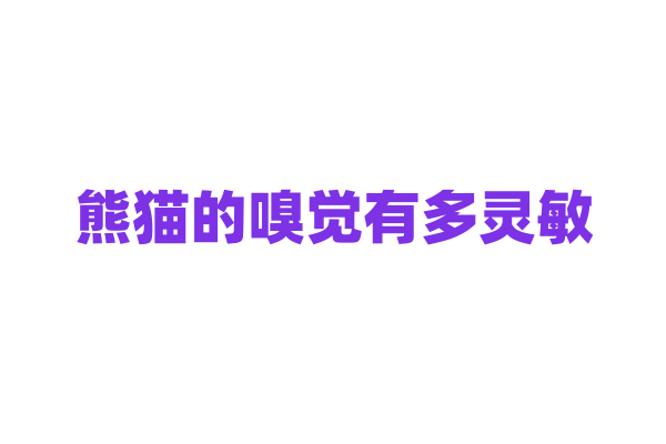 熊猫的嗅觉有多灵敏，在生活中有什么作用？