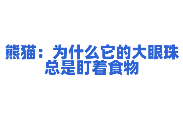 熊猫：为什么它的大眼珠总是盯着食物？