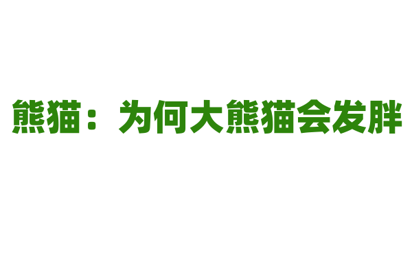 熊猫：为何大熊猫会发胖？