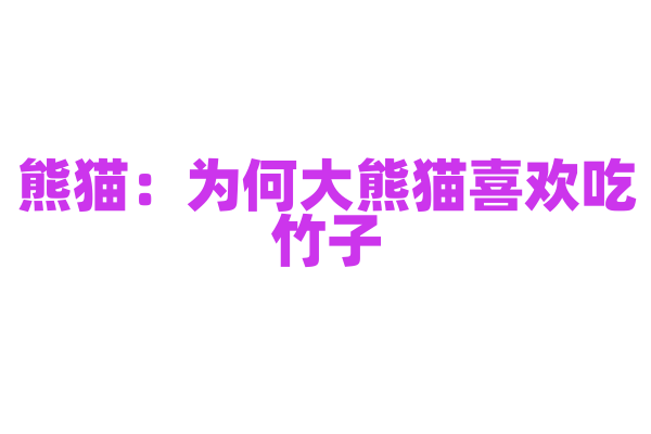 熊猫：为何大熊猫喜欢吃竹子？