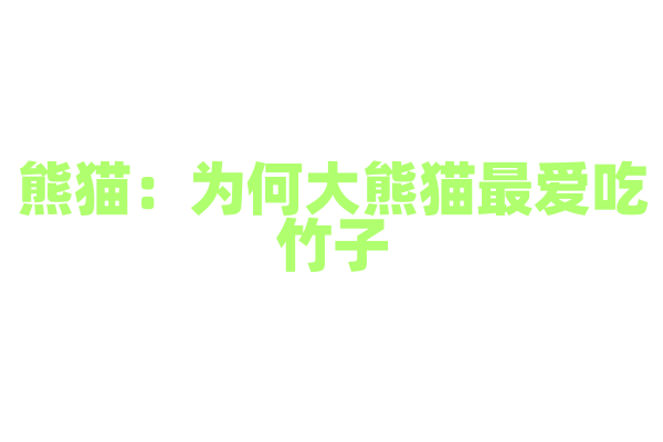 熊猫：为何大熊猫最爱吃竹子？