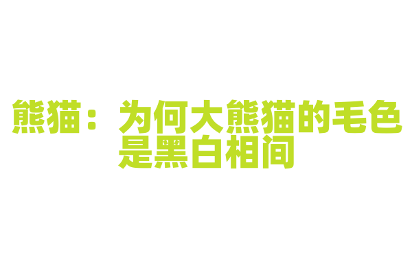 熊猫：为何大熊猫的毛色是黑白相间？