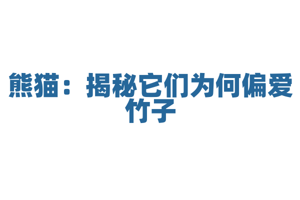 熊猫：揭秘它们为何偏爱竹子