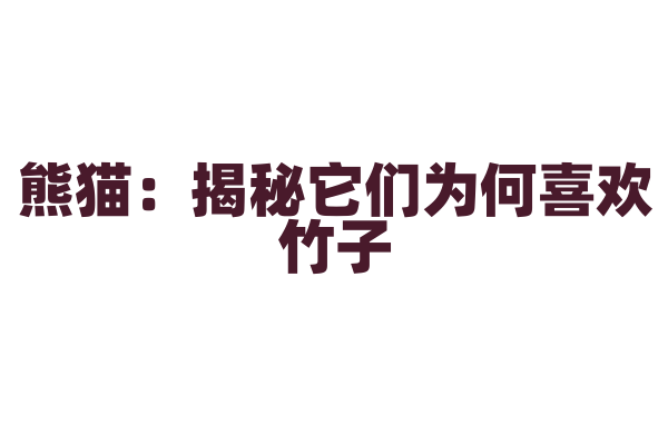 熊猫：揭秘它们为何喜欢竹子