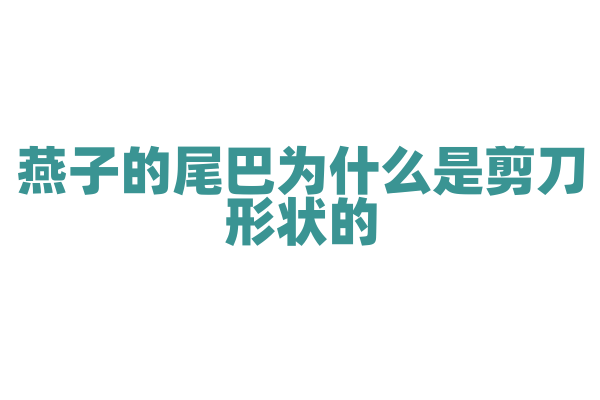 燕子的尾巴为什么是剪刀形状的？