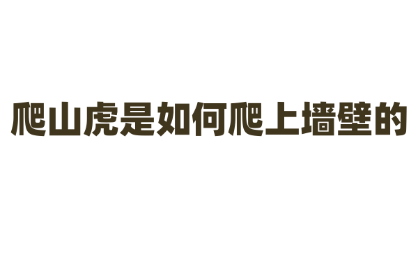 爬山虎是如何爬上墙壁的，它的攀爬原理是什么？