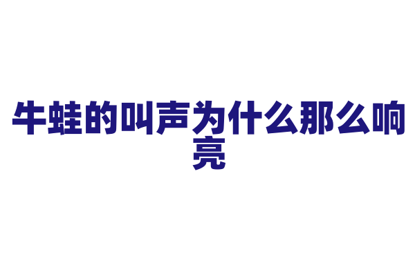 牛蛙的叫声为什么那么响亮