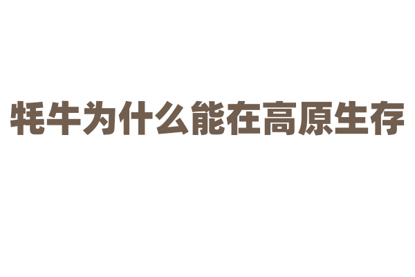 牦牛为什么能在高原生存，它的身体有哪些适应高原的特征？