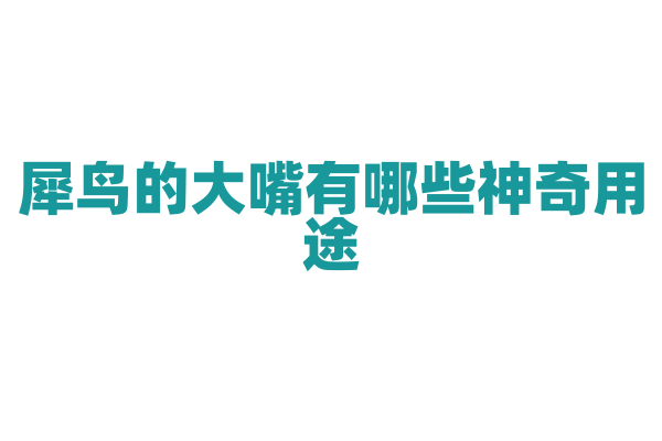 犀鸟的大嘴有哪些神奇用途？